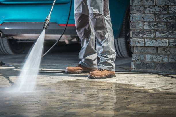 Best Soft Washing  in Franklin, CA