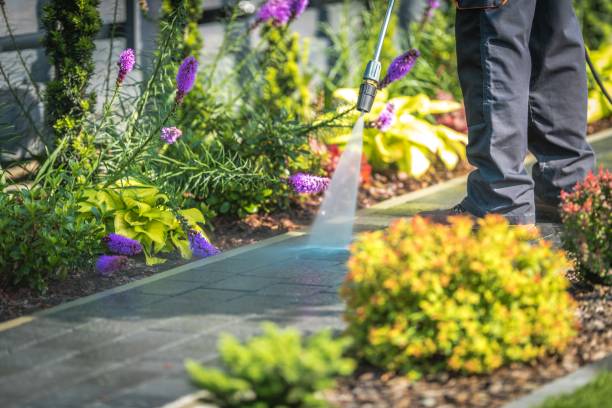 Trusted Franklin, CA Pressure Washing Experts