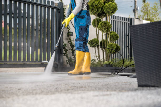 Animal Enclosure Cleaning in Franklin, CA